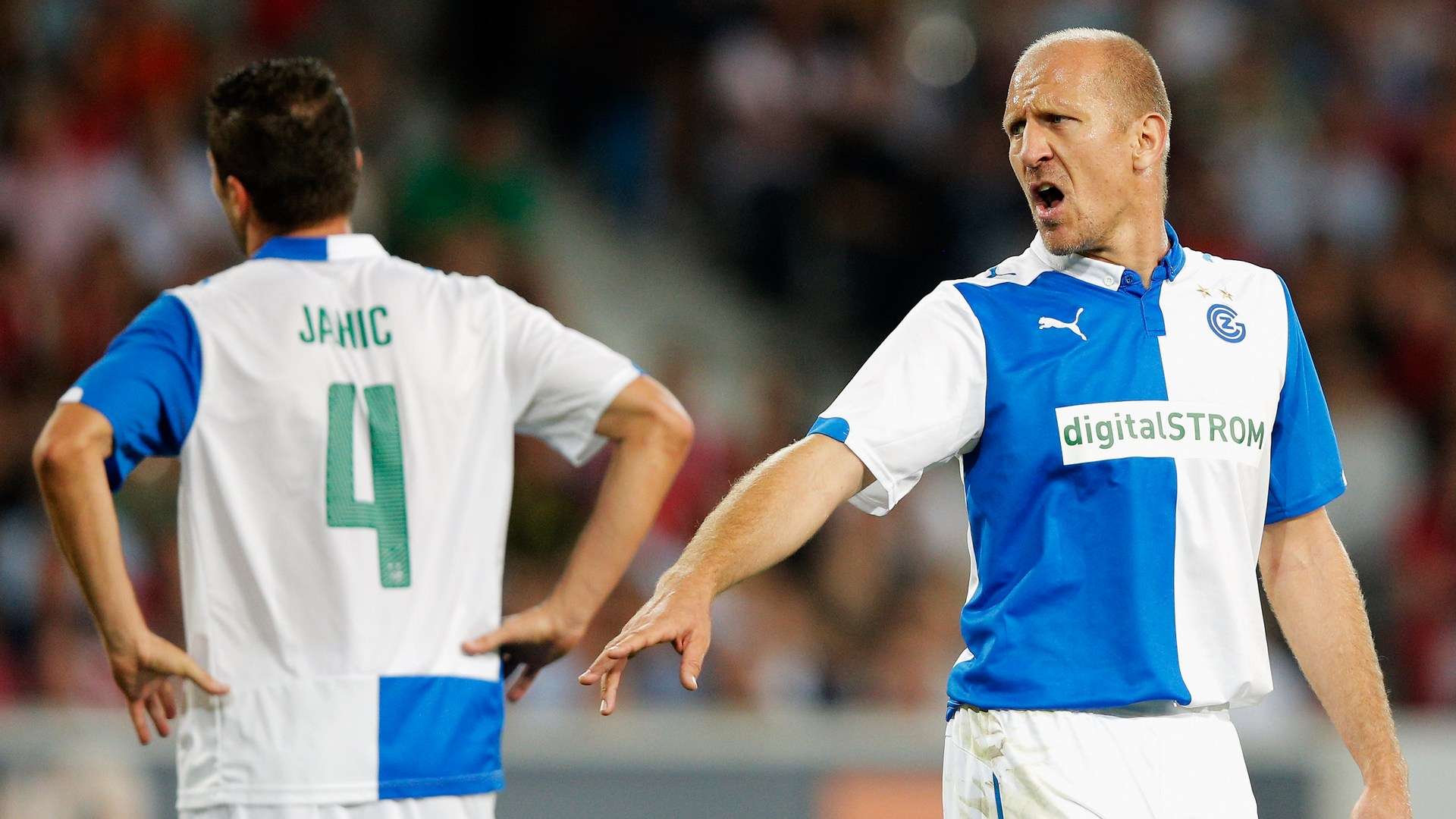 内的主要职 内的主要职